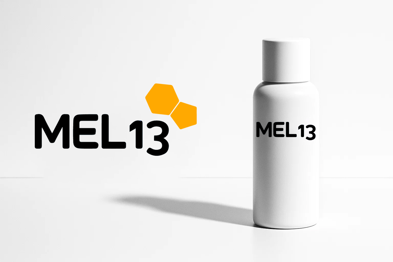MEL 13